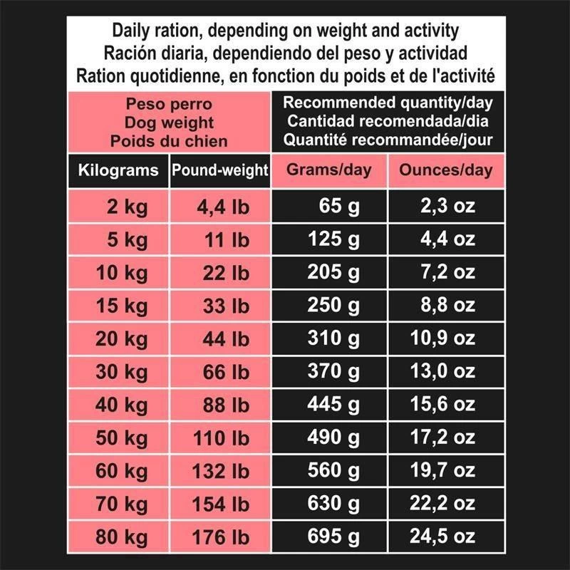 Arquivet Grain-Free Lachs Und Thunfisch Mit Gemüse 12kg + Überraschung Für Den Hund 6 Arquivet Grain-Free Lachs Und Thunfisch Mit Gemüse 12kg + Überraschung Für Den Hund – Bild 6