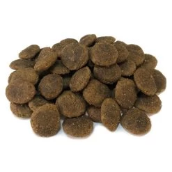 Arquivet Grain-Free Pute Mit Gemüse 12kg -Haustier Förderung ger pl Arquivet Grain Free Pute mit Gemuse 12kg 32953 4