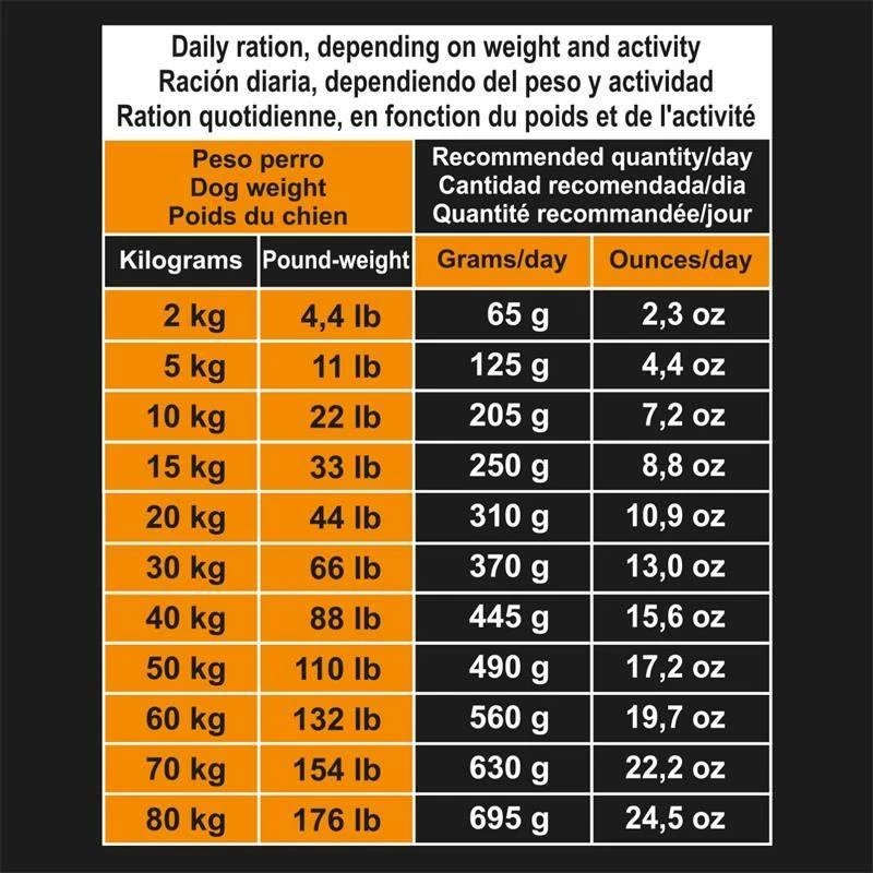 Arquivet Grain-Free Pute Mit Gemüse 12kg + Überraschung Für Den Hund 6 Arquivet Grain-Free Pute Mit Gemüse 12kg + Überraschung Für Den Hund – Bild 6