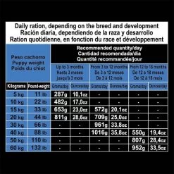 Arquivet Puppy&Junior MAXI Huhn Mit Reis 12kg + Überraschung Für Den Hund -Haustier Förderung ger pl Arquivet Puppy Junior MAXI Huhn mit Reis 12kg Uberraschung fur den Hund 33133 5
