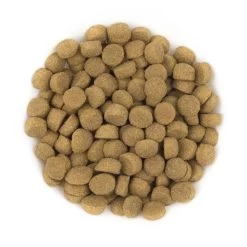 Avantis Gourmet Lamb 15kg + Überraschung Für Den Hund -Haustier Förderung ger pl Avantis Gourmet Lamb 15kg Uberraschung fur den Hund 33206 2