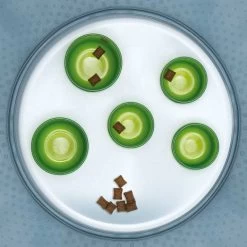 Catit Aktiv-Futternapf 14 Catit Aktiv-Futternapf -Haustier Förderung ger pl Catit Aktiv Futternapf 14231 6