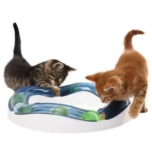 Catit Design Senses Senses Tempo Spielschiene 2 Catit Design Senses Senses Tempo Spielschiene – Bild 2