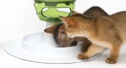 Haustier Förderung 23 Haustier Förderung -Haustier Förderung ger pl Catit Senses 2 0 Futterbaum Food Tree 13631 6