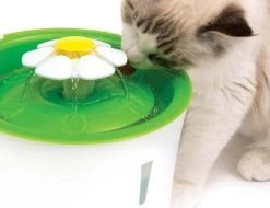 Catit Senses 2.0 Trinkbrunnen Blume 3l -Haustier Förderung ger pl Catit Senses 2 0 Trinkbrunnen Blume 3l 16669 3