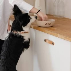 DINGO-Bambusfaser Anti-Rutsch-Schale - 1500ml 8 DINGO-Bambusfaser Anti-Rutsch-Schale - 1500ml -Haustier Förderung ger pl DINGO Bambusfaser Anti Rutsch Schale 1500ml 32534 3