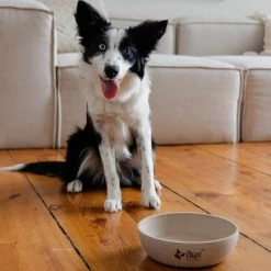 DINGO-Bambusfaser Anti-Rutsch-Schale - 1500ml 9 DINGO-Bambusfaser Anti-Rutsch-Schale - 1500ml -Haustier Förderung ger pl DINGO Bambusfaser Anti Rutsch Schale 1500ml 32534 4