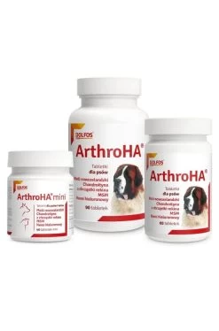 DOLFOS ArthroHA 90 Tabletten