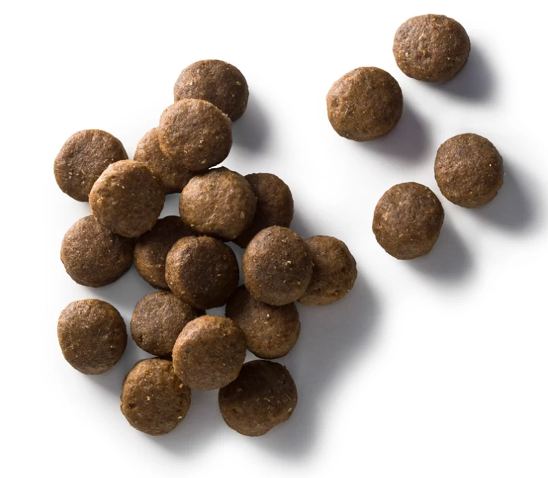 Faunakram Adult Grain Free Chicken And Fish 12 Kg + Überraschung Für Den Hund 2 Faunakram Adult Grain Free Chicken And Fish 12 Kg + Überraschung Für Den Hund – Bild 2