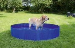 Kerbl-Pool Für Hunde, 75l, 80 Cm X 20 Cm -Haustier Förderung ger pl Kerbl Pool fur Hunde 75l 80 cm x 20 cm 33591 4