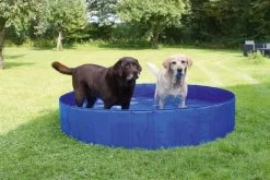 Kerbl-Pool Für Hunde, 75l, 80 Cm X 20 Cm -Haustier Förderung ger pl Kerbl Pool fur Hunde 75l 80 cm x 20 cm 33591 5