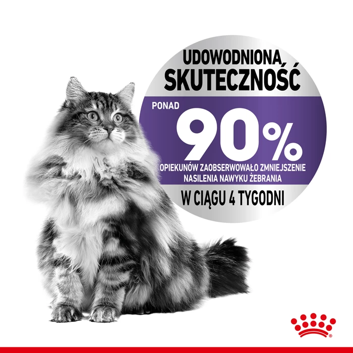 ROYAL CANIN Appetite Control 12x85g Nassfutter In Sauce Für Ausgewachsene, Sterilisierte, Futterhungrige Katzen 4 ROYAL CANIN Appetite Control 12x85g Nassfutter In Sauce Für Ausgewachsene, Sterilisierte, Futterhungrige Katzen – Bild 4