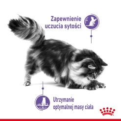 ROYAL CANIN Appetite Control 12x85g Nassfutter In Sauce Für Ausgewachsene, Sterilisierte, Futterhungrige Katzen 13 ROYAL CANIN Appetite Control 12x85g Nassfutter In Sauce Für Ausgewachsene, Sterilisierte, Futterhungrige Katzen -Haustier Förderung ger pl ROYAL CANIN Appetite Control 12x85g Nassfutter in Sauce fur ausgewachsene sterilisierte futterhungrige Katzen 21607 5