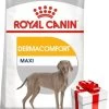 ROYAL CANIN CCN Maxi Dermacomfort 12kg + Überraschung Für Den Hund