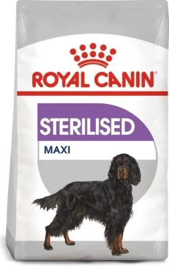 ROYAL CANIN CCN Maxi Sterilised 12kg Trockenfutter Für Ausgewachsene Sterilisierte Hunde Großer Rassen
