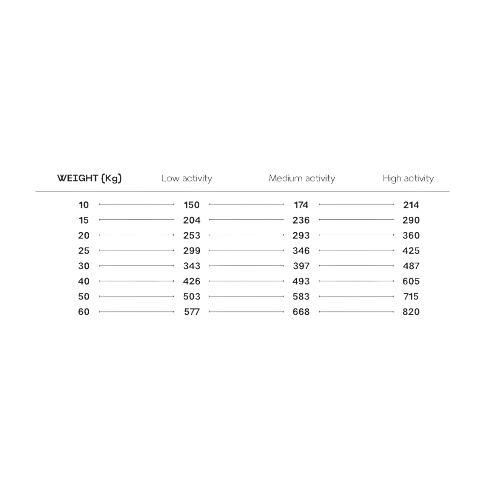 Rex Natural Range Grain Free Fish 14kg + Überraschung Für Den Hund 8 Rex Natural Range Grain Free Fish 14kg + Überraschung Für Den Hund – Bild 8