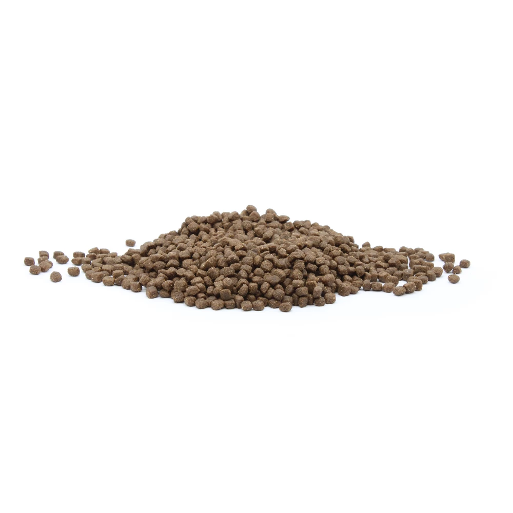 Rex Natural Range Puppy Chicken & Rice 3kg + Überraschung Für Den Hund 6 Rex Natural Range Puppy Chicken & Rice 3kg + Überraschung Für Den Hund – Bild 6