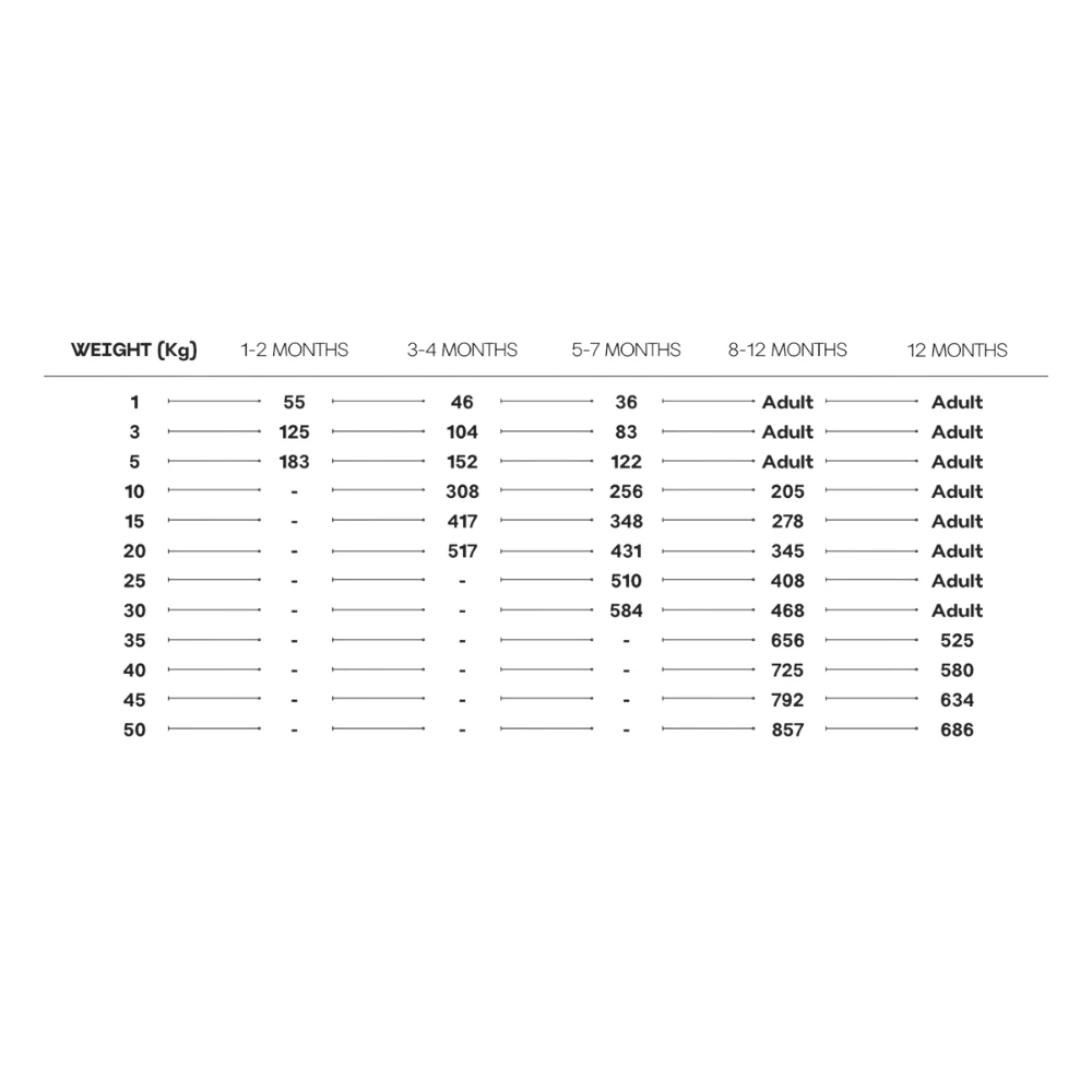 Rex Natural Range Puppy Large Breed Chicken & Rice 14kg + Überraschung Für Den Hund 8 Rex Natural Range Puppy Large Breed Chicken & Rice 14kg + Überraschung Für Den Hund – Bild 8