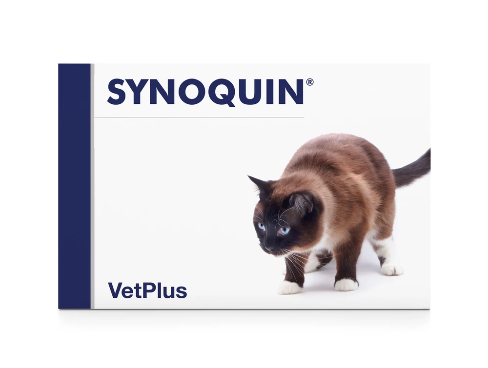 SYNOQUIN EFA Für Katzen 30 Tabletten 1 SYNOQUIN EFA Für Katzen 30 Tabletten