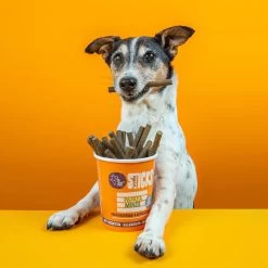 TENETRIO HUNDESTICKS PAPAYA- Atemerfrischende Kausticks - Mit Insekten, Papaya Und Minze 330g -Haustier Förderung ger pl TENETRIO HUNDESTICKS PAPAYA atemerfrischende Kausticks mit Insekten Papaya und Minze 330g 32848 3