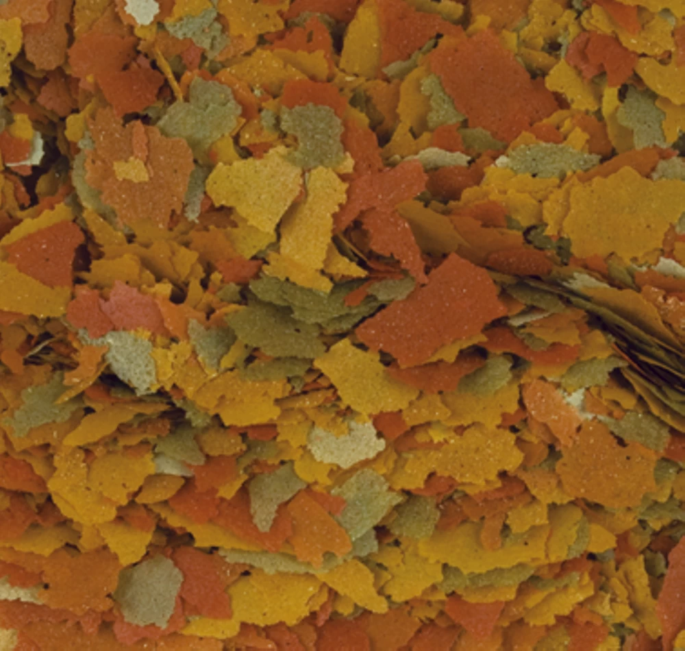 TROPICAL Goldfish Color 2x1000ml 2 TROPICAL Goldfish Color 2x1000ml – Bild 2