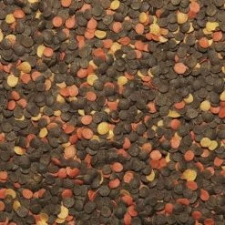 TROPICAL Malawi Chips 2x250ml -Haustier Förderung ger pl TROPICAL Malawi Chips 2x250ml 25637 3