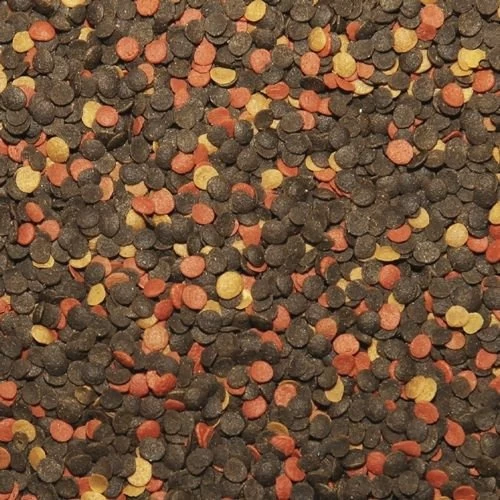 TROPICAL Malawi Chips 5000ml 2 TROPICAL Malawi Chips 5000ml – Bild 2