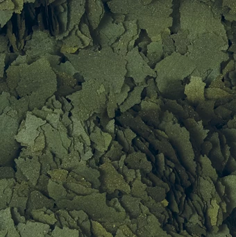 TROPICAL Super Spirulina Forte 1000ml 2 TROPICAL Super Spirulina Forte 1000ml – Bild 2