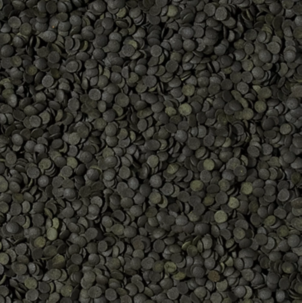 TROPICAL Super Spirulina Forte Chips 1000ml 2 TROPICAL Super Spirulina Forte Chips 1000ml – Bild 2