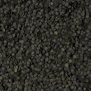 TROPICAL Super Spirulina Forte Chips 250ml 2 TROPICAL Super Spirulina Forte Chips 250ml – Bild 2