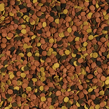 TROPICAL SuperVit Chips 2x1000ml 2 TROPICAL SuperVit Chips 2x1000ml – Bild 2