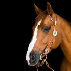 TickLess Horse - Braun -Haustier Förderung ger pl TickLess Horse braun 29610 3