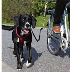 Trixie Biker-Set Für Große Hunde