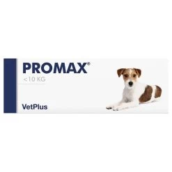 VETPLUS Promax Probiotic Für Kleine Rassen 9ml