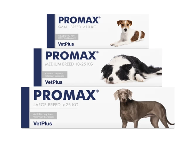 VETPLUS Promax Probiotic Für Kleine Rassen 9ml 2 VETPLUS Promax Probiotic Für Kleine Rassen 9ml – Bild 2