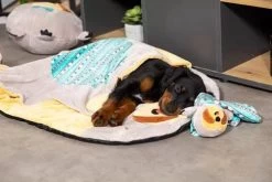 ZOLUX Toy CHIQUITOS Decke Faultier 8 ZOLUX Toy CHIQUITOS Decke Faultier -Haustier Förderung ger pl ZOLUX Toy CHIQUITOS Decke Faultier 31285 4