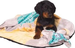 ZOLUX Toy CHIQUITOS Decke Faultier 9 ZOLUX Toy CHIQUITOS Decke Faultier -Haustier Förderung ger pl ZOLUX Toy CHIQUITOS Decke Faultier 31285 5